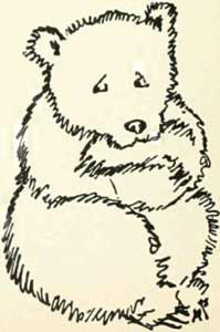 The Peasant and the Bear